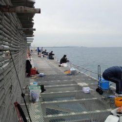 今日もアジは好調　（下関フィッシングパーク）